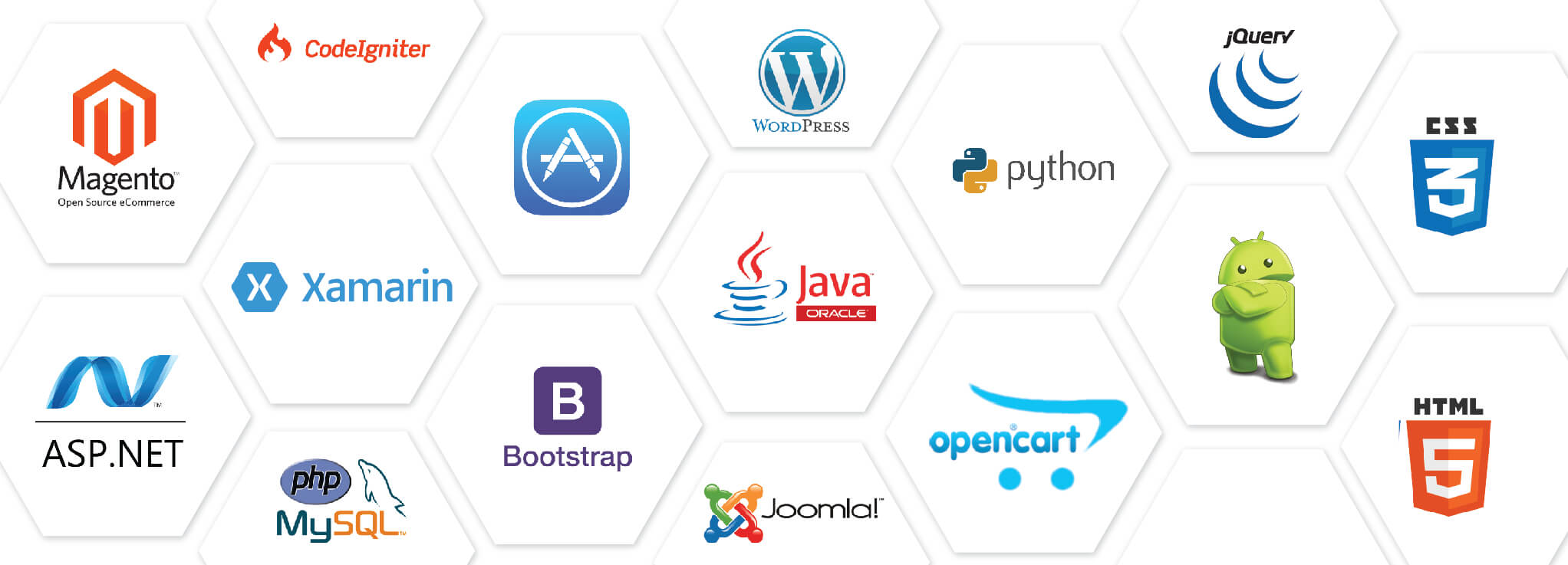 web development